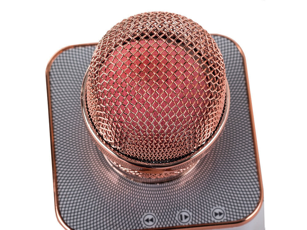 Bluetooth karaoke mikrofon, dünaamiline hind ja info | Mikrofonid | hansapost.ee
