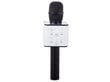 Bluetooth karaoke mikrofon, dünaamiline цена и информация | Mikrofonid | hansapost.ee