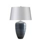 Lauavalgusti Elstead Lighting Poseidon POSEIDON-TL hind ja info | Laualambid | hansapost.ee