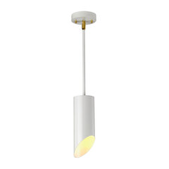 Подвесной светильник Elstead Lighting Quinto QUINTO1P-WAB цена и информация | Люстры | hansapost.ee