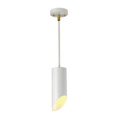 Rippvalgusti Elstead Lighting Quinto QUINTO1P-WAB цена и информация | Люстры | hansapost.ee