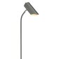 Põrandavalgusti Elstead Lighting Quinto QUINTO-FL-GPN цена и информация | Põrandalambid | hansapost.ee