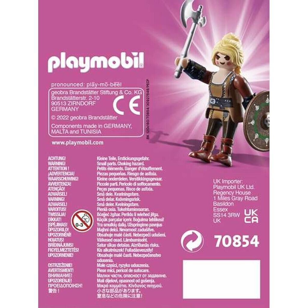 Kuju Viiking Playmobil Playmo-Friends, 70854 price and information | Mänguasjad tüdrukutele | hansapost.ee