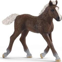 Schwartzwaldi varsa figuur, Schleich 361357 hind ja info | Mänguasjad tüdrukutele | hansapost.ee