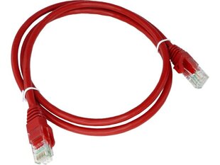 Alantec KKU6CZE0.5, RJ45, 0.5 m цена и информация | Кабели и провода | hansapost.ee