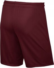 Nike Park II Junior lühikesed püksid, suurus S hind ja info | Jalgpalli varustus ja riided | hansapost.ee