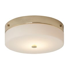 Потолочный светильник для ванной комнаты Elstead Lighting Tamar TAMAR-F-L-PG цена и информация | Потолочные светильники | hansapost.ee