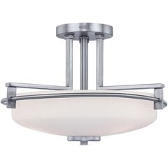 Vannitoa laevalgusti Elstead Lighting Taylor QZ-TAYLOR-SFBATH цена и информация | Потолочные светильники | hansapost.ee