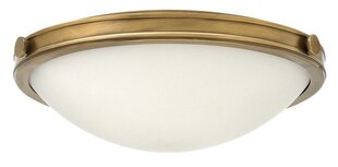 Потолочный светильник Elstead Lighting Collier HK-COLLIER-F-M цена и информация | Потолочные светильники | hansapost.ee