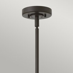 Подвесной светильник Elstead Lighting Rigby HK-RIGBY-P-KZ цена и информация | Люстры | hansapost.ee