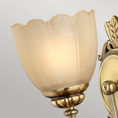 Настенный светильник Elstead Lighting Isabella HK-ISABELLA1-BATH цена и информация | Настенные светильники | hansapost.ee