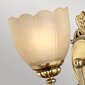 Seinavalgusti Elstead Lighting Isabella HK-ISABELLA1-BATH цена и информация | Seinavalgustid | hansapost.ee