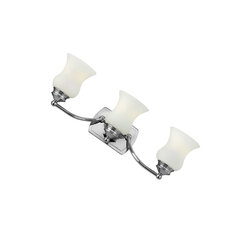 Настенный светильник Elstead Lighting Constance HK-CONSTANCE3-BATH цена и информация | Настенные светильники | hansapost.ee