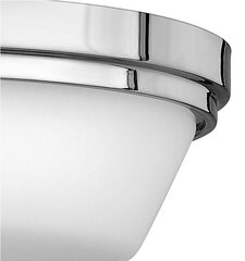 Потолочный светильник для ванной комнаты Elstead Lighting Ashley HK-ASHLEY-F-BATH цена и информация | Потолочные светильники | hansapost.ee