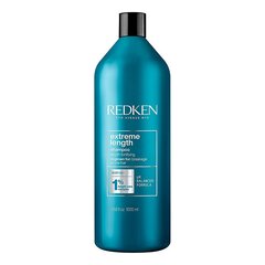 Šampoon redken, 1000 ml hind ja info | Šampoonid | hansapost.ee