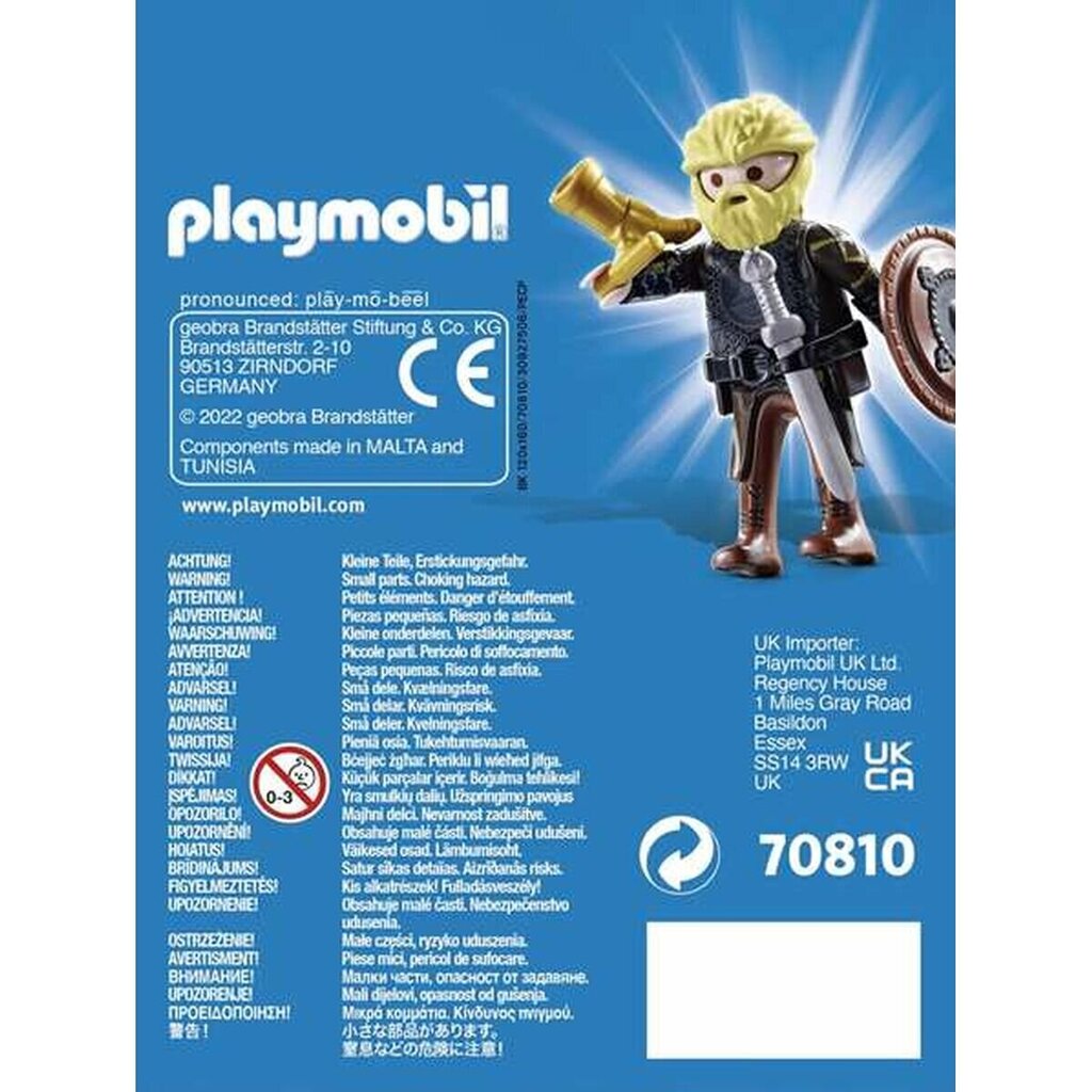 Kuju Viiking Playmobil Playmo-Friends, 70810 цена и информация | Mänguasjad poistele | hansapost.ee