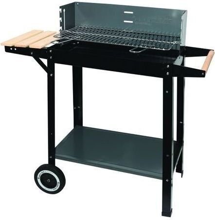 Söegrill Mastergrill, 53x37 cm (MG909) hind ja info | Grillid | hansapost.ee