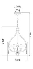 Подвесной светильник Elstead Lighting Windsor WINDSOR4-GOLD цена и информация | Люстры | hansapost.ee