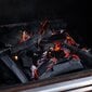 GrillSymbol BBQ suitsuahi Smoky Beast hind ja info | Suitsuahjud, tarvikud | hansapost.ee