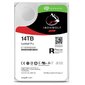 Seagate IronWolf Pro, 14TB (ST14000NT001) hind ja info | Sisemised kõvakettad | hansapost.ee