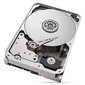 Seagate IronWolf Pro, 18TB (ST18000NT001) цена и информация | Sisemised kõvakettad | hansapost.ee