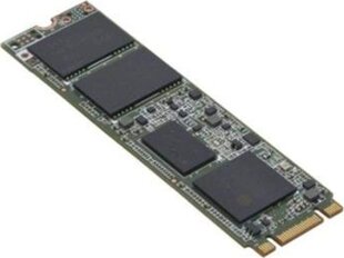 Fujitsu S26361-F5816-L240, 240 ГБ цена и информация | Внутренние жёсткие диски (HDD, SSD, Hybrid) | hansapost.ee