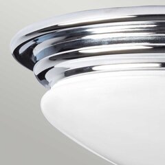 Потолочный светильник для ванной комнаты Elstead Lighting Brompton BATH-BROMPTON-F цена и информация | Потолочные светильники | hansapost.ee