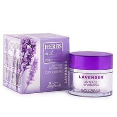 Lavendel igapäevane vananemisvastane nahakreem, 50 ml hind ja info | Näokreemid | hansapost.ee