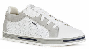 Geox мужские ботинки из белой кожи EOLO цена и информация | Кроссовки для мужчин | hansapost.ee
