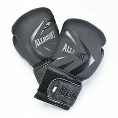 Боксерские перчатки Allright Shadow 14oz цена и информация | Бокс | hansapost.ee