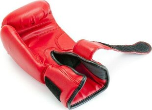 Боксерские перчатки Allright TRAINING PRO 14oz красного цвета цена и информация | Бокс | hansapost.ee