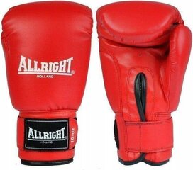 Боксерские перчатки Allright TRAINING PRO 14oz красного цвета цена и информация | Бокс | hansapost.ee