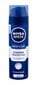 Niisutav raseerimisvaht Nivea Men Protect & Care 200 ml hind ja info | Raseerimisvahendid | hansapost.ee