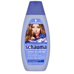 Šampoon suurema mahu jaoks Power Volume 48H (Šampoon) 400 ml hind ja info | Šampoonid | hansapost.ee