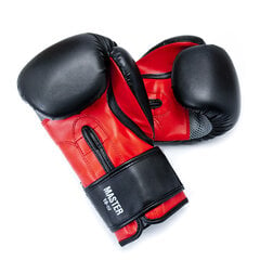 Боксерские перчатки Allright Master 14oz цена и информация | Бокс | hansapost.ee