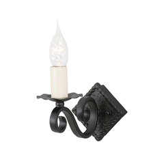 Настенный светильник Elstead Lighting Rectory RY1A-BLACK цена и информация | Настенные светильники | hansapost.ee