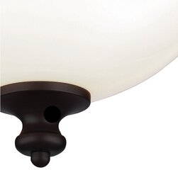 Потолочный светильник Elstead Lighting Parkman FE-PARKMAN-F-OB цена и информация | Потолочные светильники | hansapost.ee