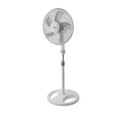 Jata JVVP3050 price and information | Ventilaatorid | hansapost.ee