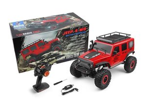 Maastikuauto RC Car WLToys 104311 Rock Crawler 1:10 15KM/H цена и информация | Игрушки для мальчиков | hansapost.ee