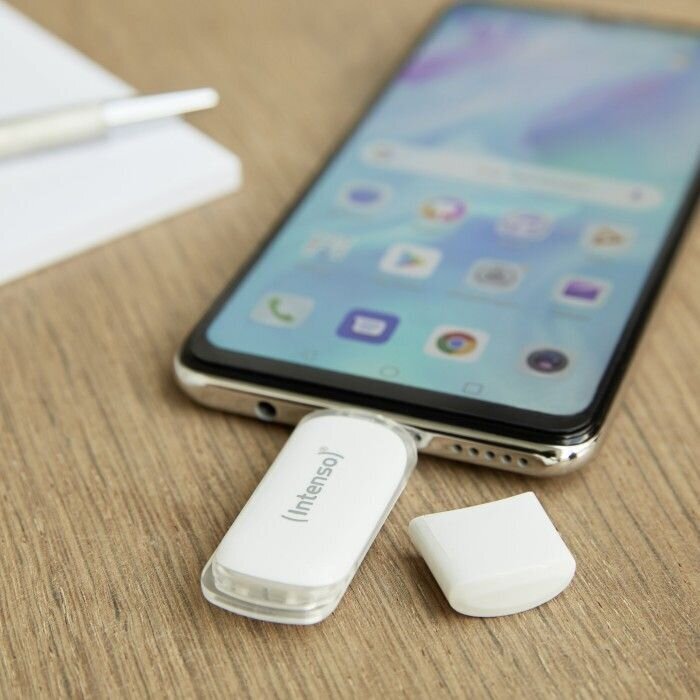 Pendrive Intenso Flash Line, 32 GB цена и информация | Mälupulgad | hansapost.ee