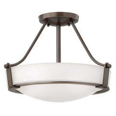 Laevalgusti Elstead Lighting Hathaway HK-HATHAWAY-SFSB hind ja info | Laelambid | hansapost.ee