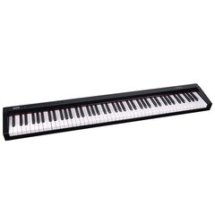 Цифровое пианино DNA SP 88 Bluetooth MIDI-клавиши цена и информация | Клавишные музыкальные инструменты | hansapost.ee