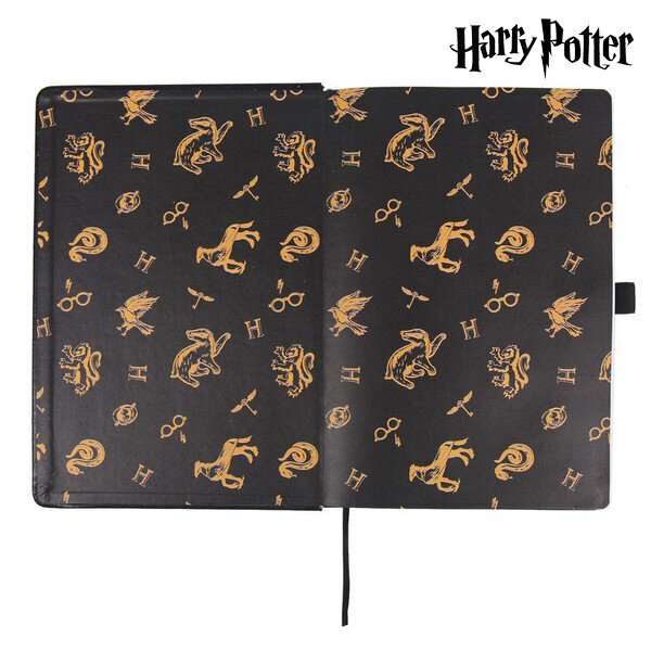 Harry Potter hind ja info | Fännitooted mänguritele | hansapost.ee