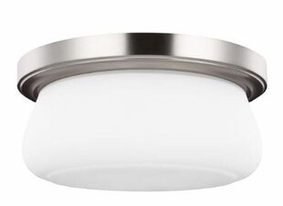 Потолочный светильник для ванной комнаты Elstead Lighting Vintner FE-VINTNER-F-M цена и информация | Потолочные светильники | hansapost.ee