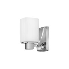 Vannitoa seinavalgusti Elstead Lighting Tessa HK-TESSA1-BATH hind ja info | Seinavalgustid | hansapost.ee