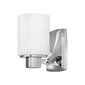 Vannitoa seinavalgusti Elstead Lighting Tessa HK-TESSA1-BATH hind ja info | Seinavalgustid | hansapost.ee