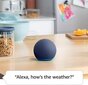 Amazon Echo Dot 5, must цена и информация | Kõlarid | hansapost.ee