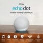 Amazon Echo dot 5 White цена и информация | Kõlarid | hansapost.ee