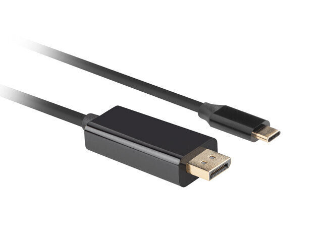 Lanberg USB-C to DisplayPort Cable hind ja info | USB adapterid ja jagajad | hansapost.ee