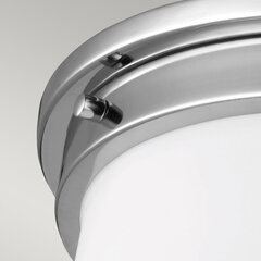 Потолочный светильник для ванной комнаты Elstead Lighting Payne FE-PAYNE-F-BATH цена и информация | Потолочные светильники | hansapost.ee